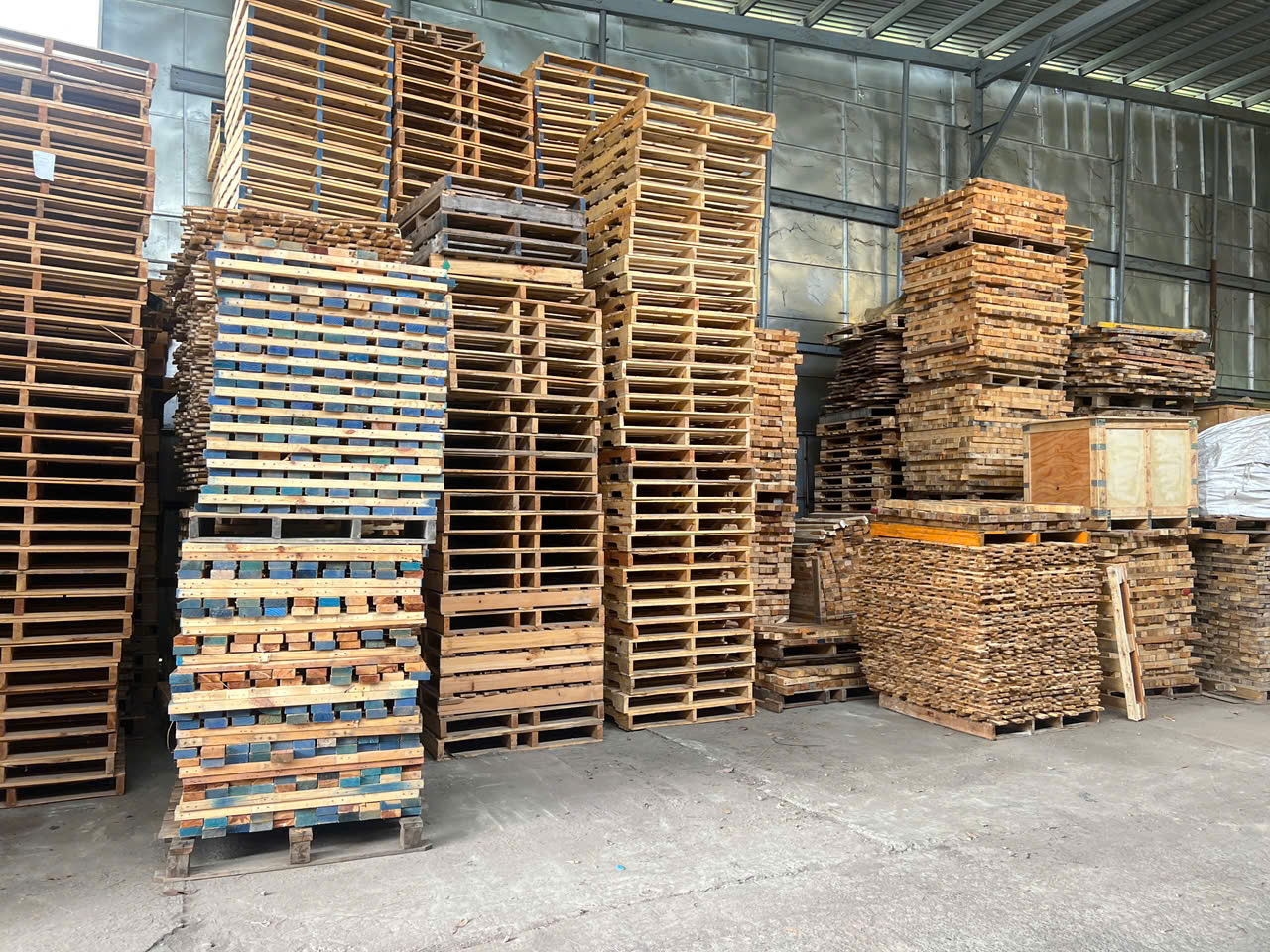 Các loại pallet và sản phẩm hỗ trợ phổ biến hiện nay