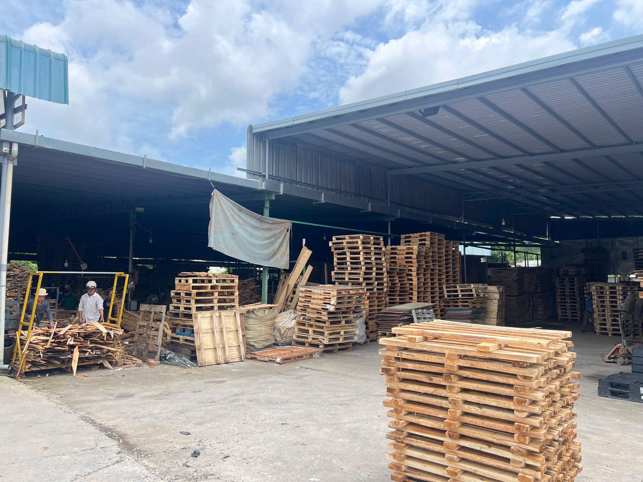 Các loại pallet phổ biến đáp ứng đa dạng nhu cầu