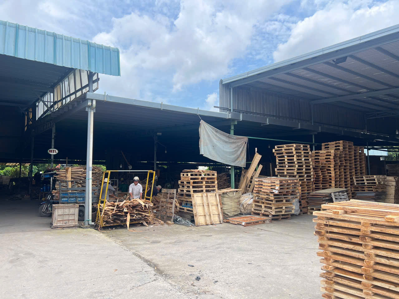 Những điểm cần lưu ý khi chọn mua pallet cho doanh nghiệp