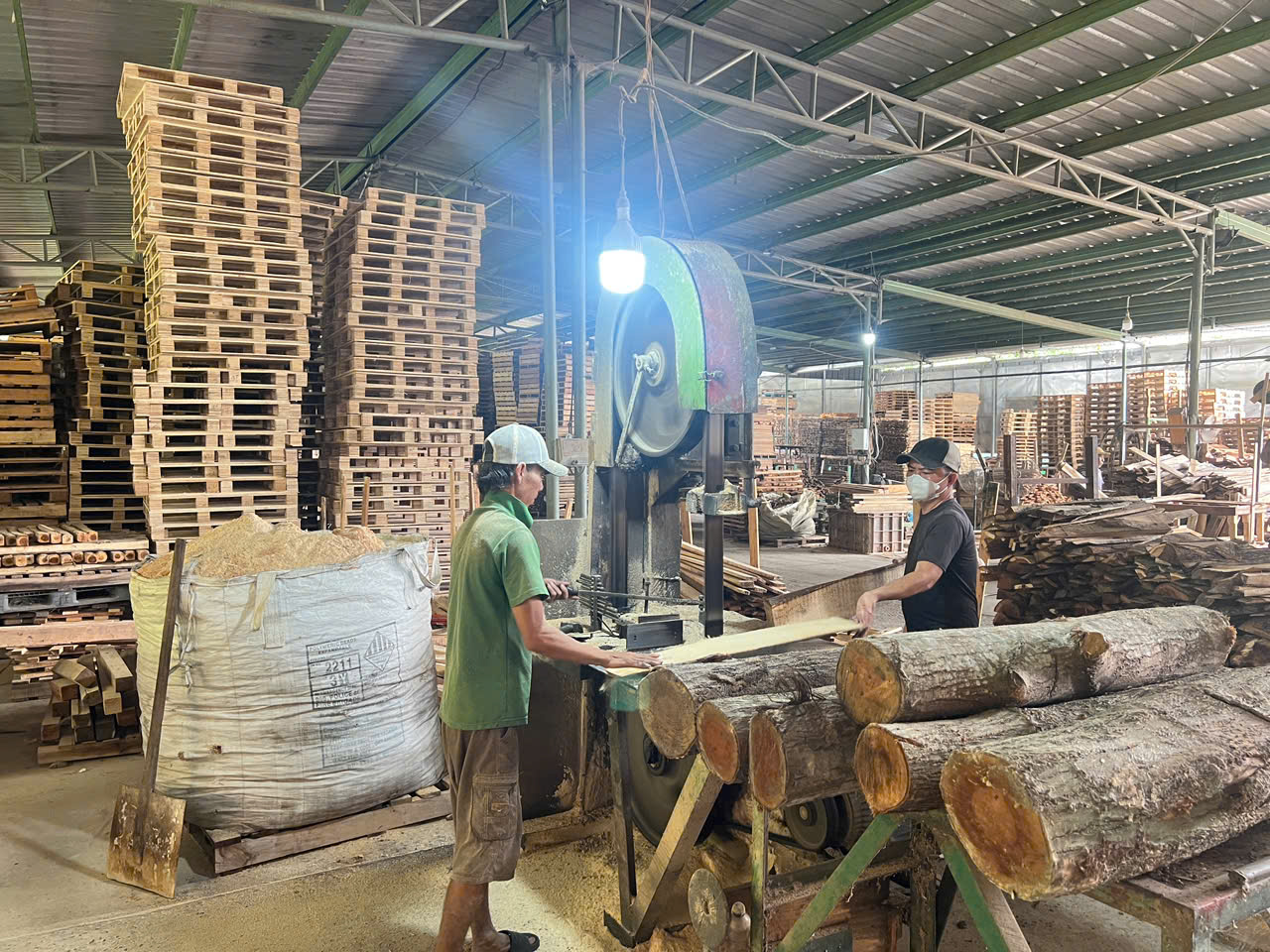 Tiêu chuẩn kỹ thuật khi thu mua gỗ nguyên liệu làm pallet