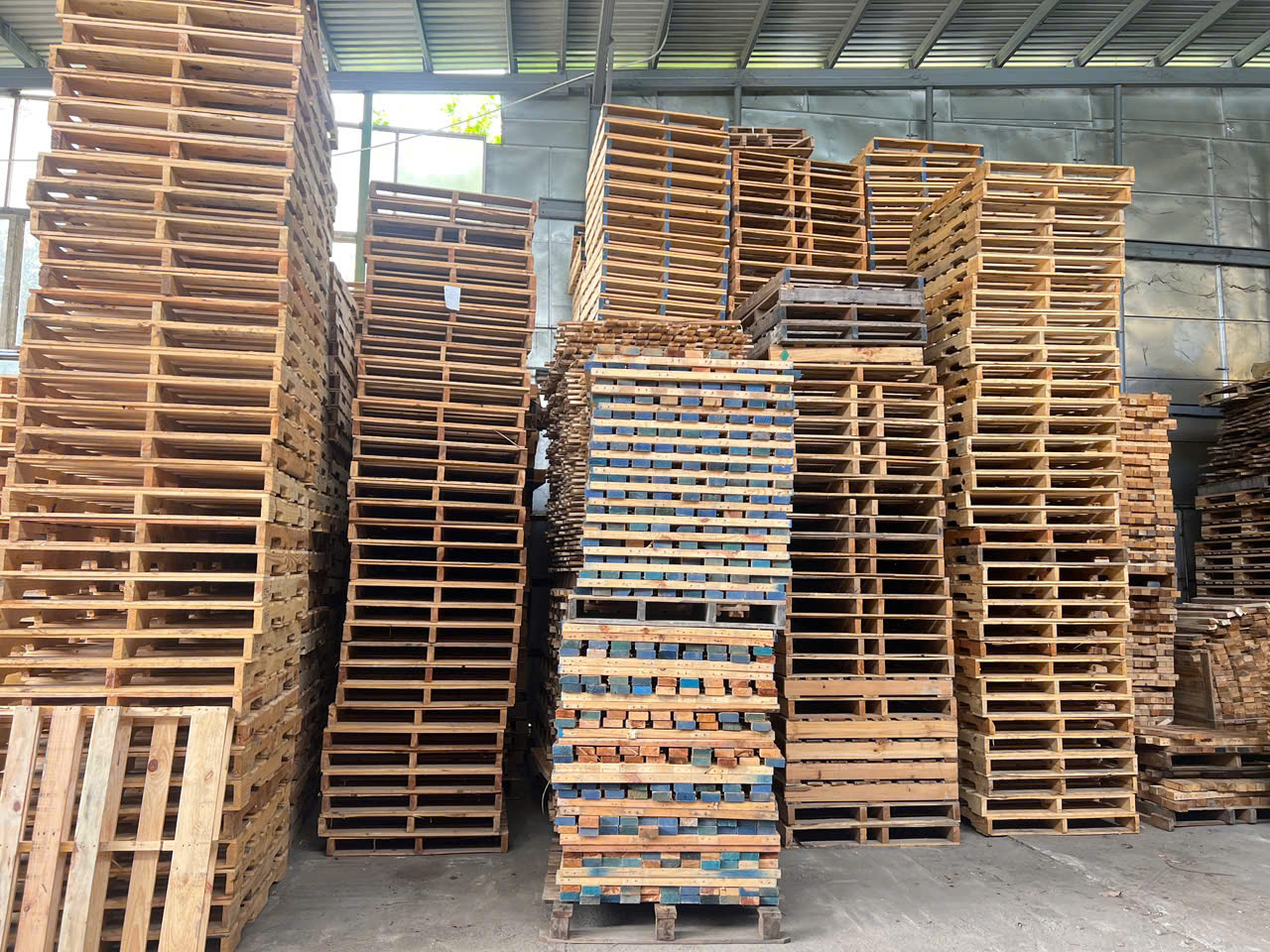 Quy trình thu mua gỗ nguyên liệu làm pallet